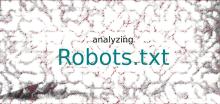 analyzing robots.txt